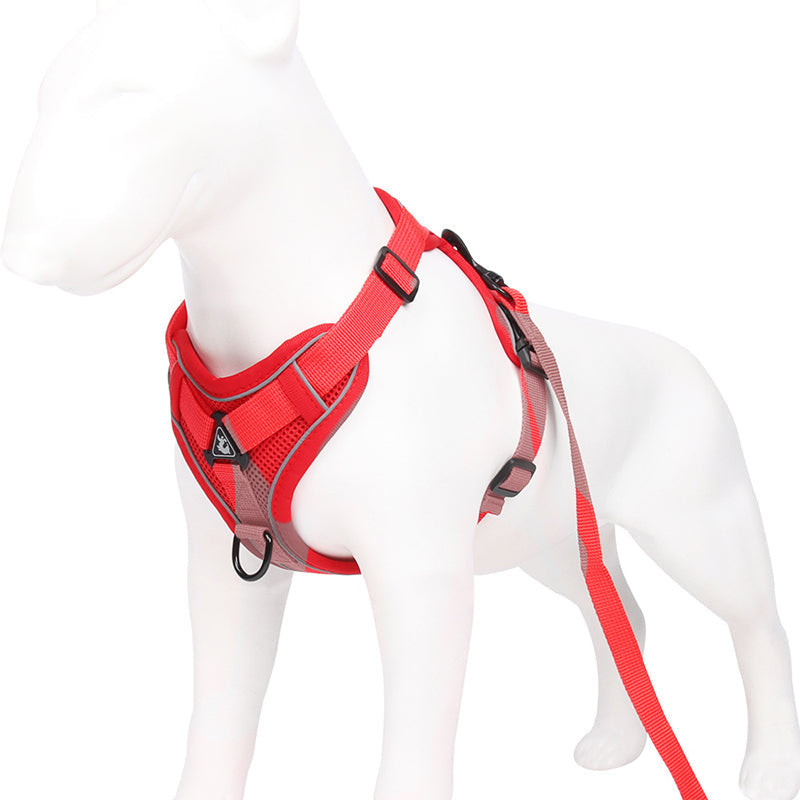 Hunde Brust-Rückenleine