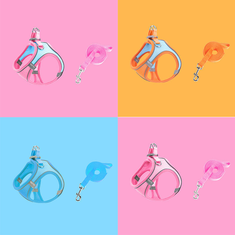 Brustgurt für Haustiere