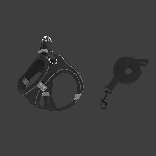 Brustgurt für Haustiere