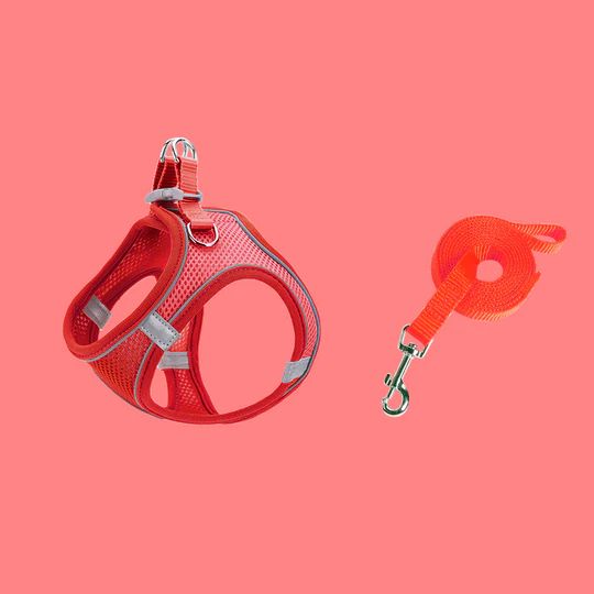 Brustgurt für Haustiere